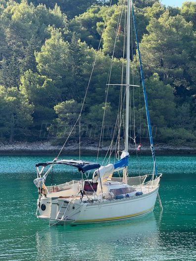 JEANNEAU Tonic 23