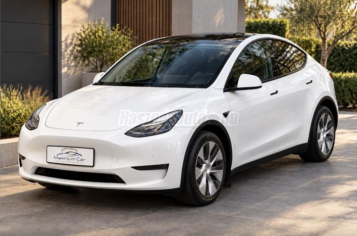 TESLA MODEL Y Long Range AWD (Automata)