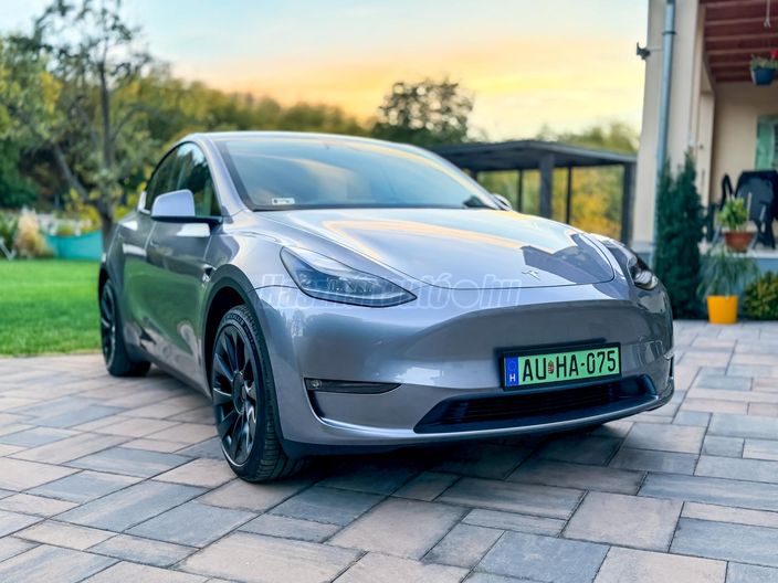 TESLA MODEL Y Long Range AWD (Automata)