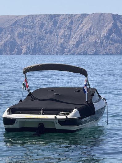 STINGRAY 195 LS 4.3