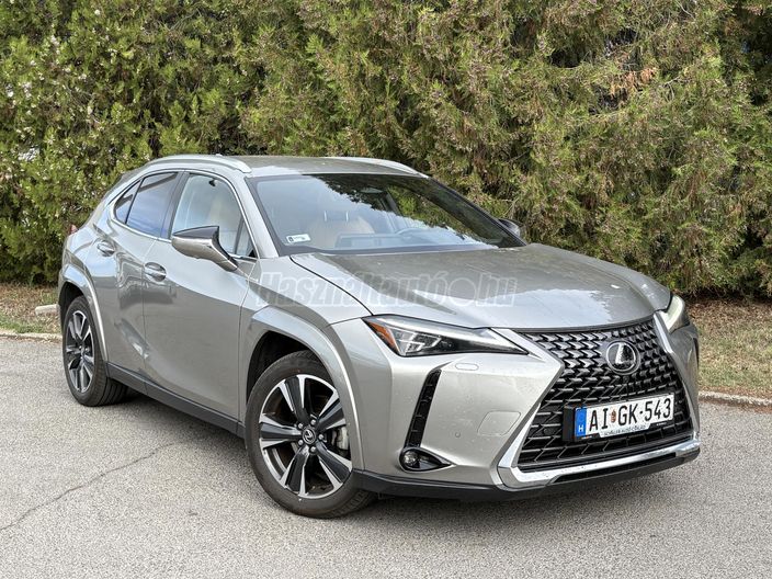 LEXUS UX 300h Luxury e-CVT