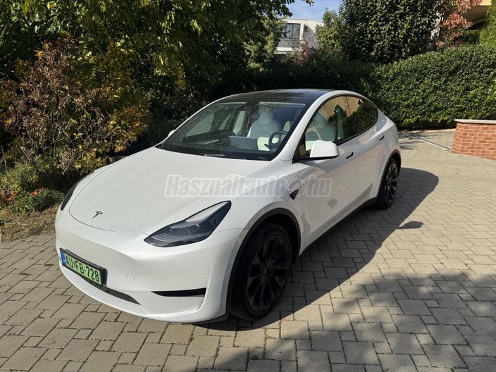 TESLA MODEL Y RWD (Automata)