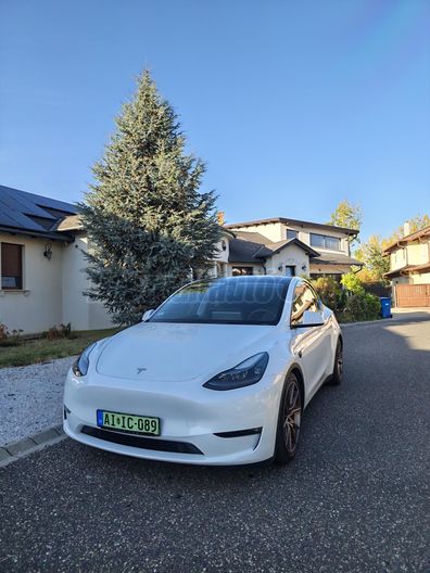 TESLA MODEL Y Long Range AWD (Automata)