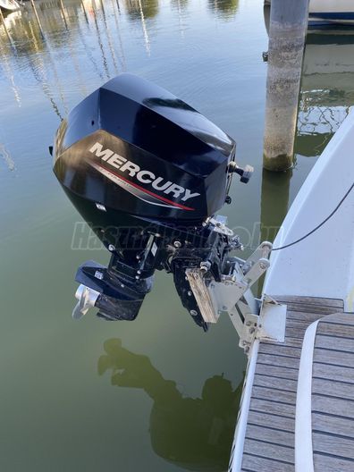 MERCURY F20 EPT