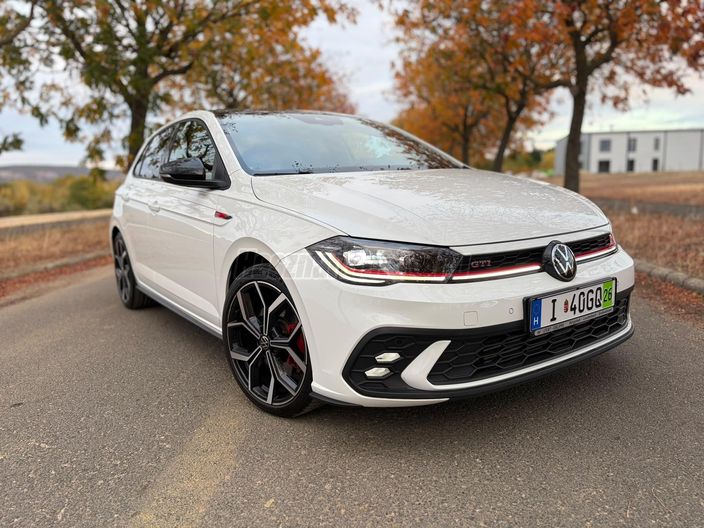 VOLKSWAGEN POLO 2.0 TSI GTI DSG
