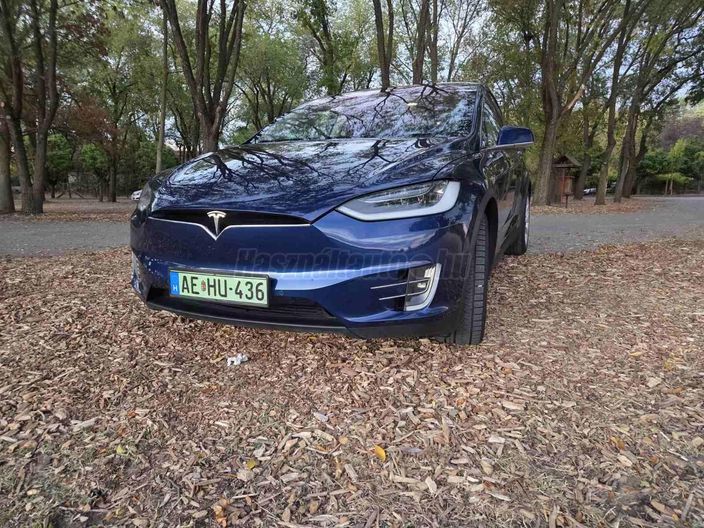 TESLA MODEL X 100D (Automata)