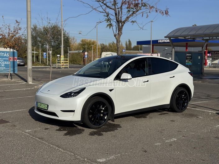 TESLA MODEL Y Long Range AWD (Automata)