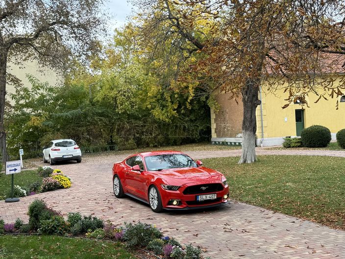FORD MUSTANG Fastback 5.0 Ti-VCT V8 GT (Automata)