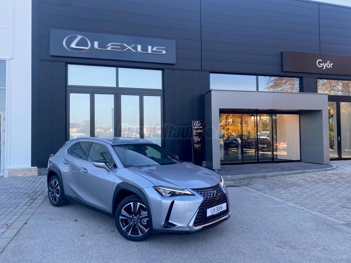 LEXUS UX 300h Business Edition Tech e-CVT