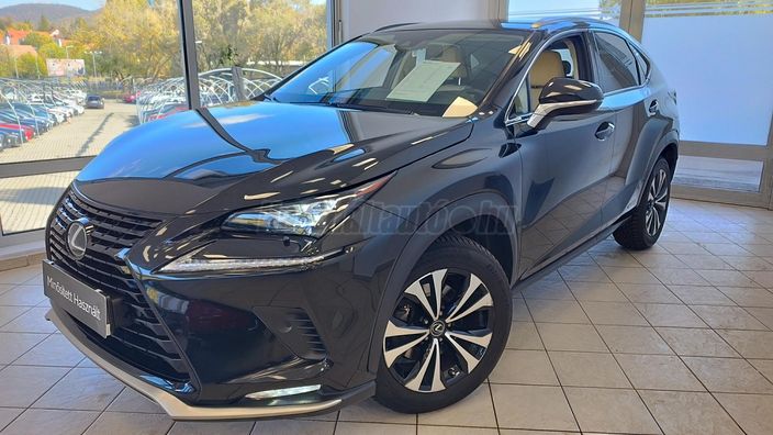 LEXUS NX 300h Special Edition CVT