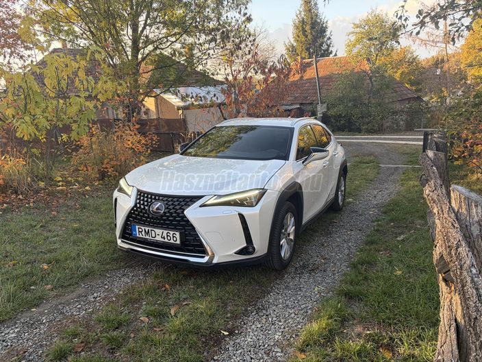 LEXUS UX 250h Prestiege 4WD CVT