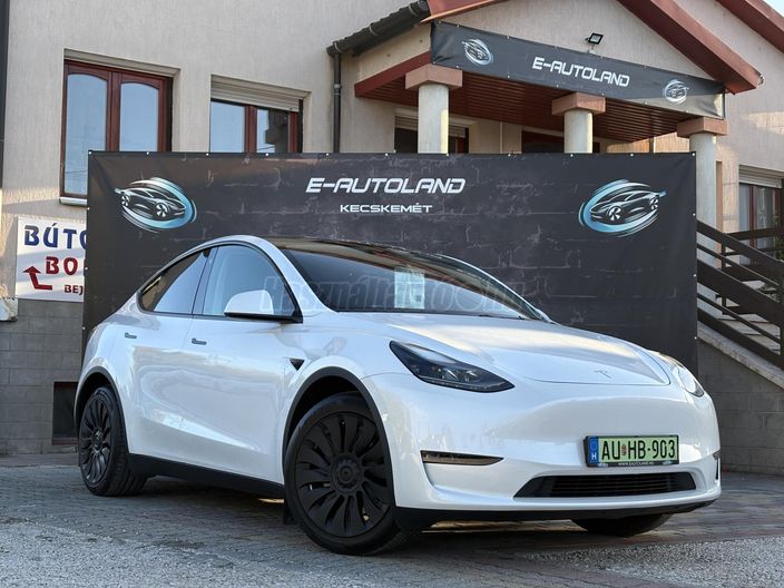 TESLA MODEL Y Long Range AWD (Automata)