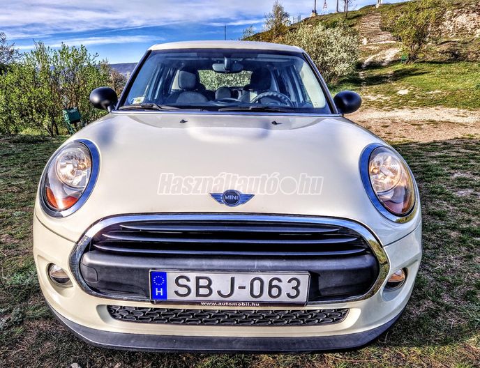 MINI MINI ONE