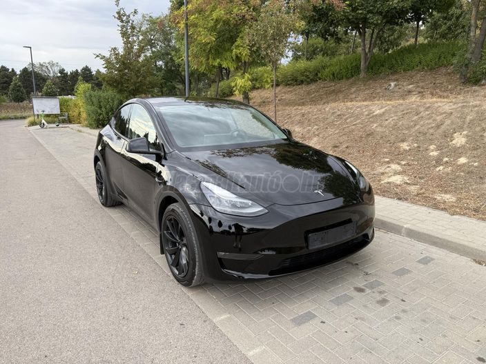 TESLA MODEL Y Long Range AWD (Automata)