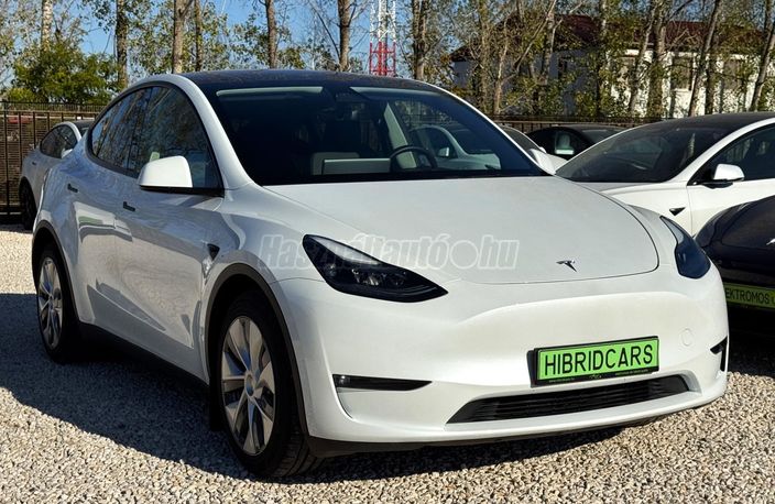 TESLA MODEL Y Long Range AWD (Automata)