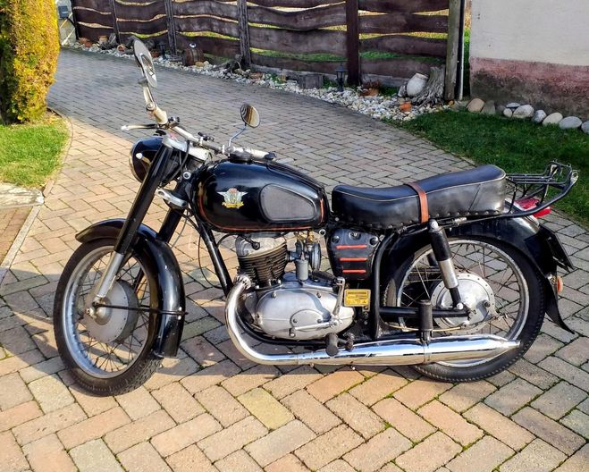 PANNONIA TLF