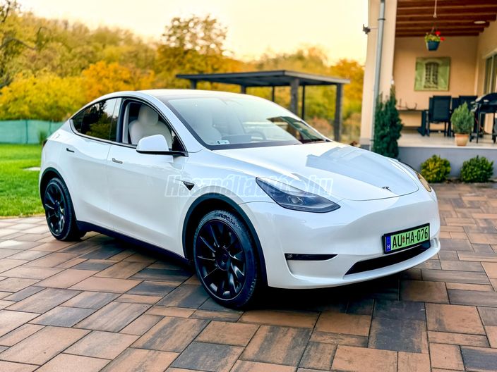 TESLA MODEL Y Long Range AWD (Automata)