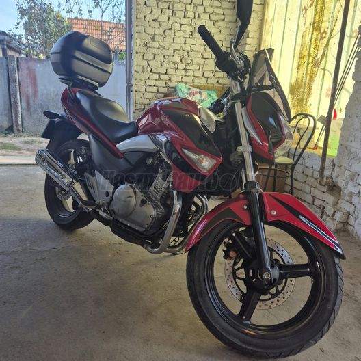 SUZUKI DL 250