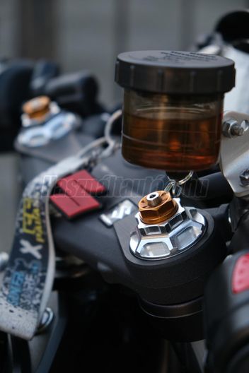 SUZUKI SV